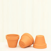 Baby Furry Friends Box + Planter Set Bundle Rooted