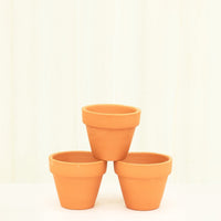 Baby Mystery Jungle Box + Planter Set Bundle Rooted