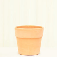 Terracotta Perfetto Cache Pot Planter Deroma