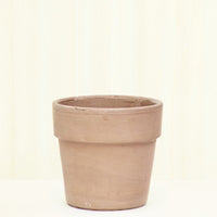 Terracotta Perfetto Cache Pot Planter Deroma