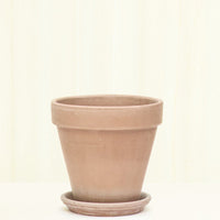 Standard Terracotta Planter with Tray Planter Deroma