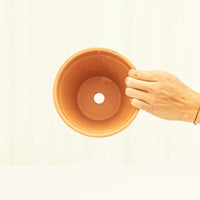 Standard Terracotta Planter with Tray Planter Deroma