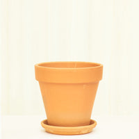 Standard Terracotta Planter with Tray Planter Deroma