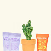 DIY Monstrose Cactus Kit