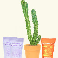 DIY Monstrose Cactus Kit