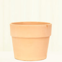 Terracotta Perfetto Cache Pot Planter Deroma