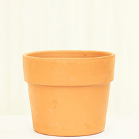 Terracotta Perfetto Cache Pot Planter Deroma