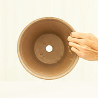 Standard Terracotta Planter with Tray Planter Deroma