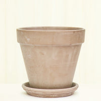 Standard Terracotta Planter with Tray Planter Deroma