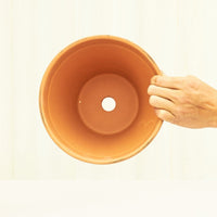 Standard Terracotta Planter with Tray Planter Deroma