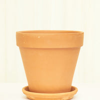 Standard Terracotta Planter with Tray Planter Deroma