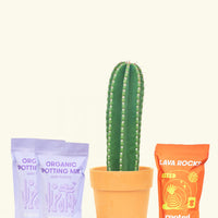 DIY Peruvian Apple Cactus Kit