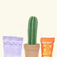 DIY Peruvian Apple Cactus Kit