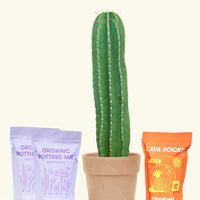 DIY Peruvian Apple Cactus Kit