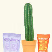 DIY Peruvian Apple Cactus Kit
