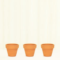 Mini Standard Terracotta Planter Set Planter Deroma