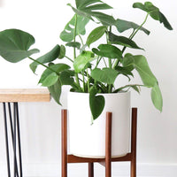 Classic Ceramic Planter + Maple Wood Stand Set Planter Peach & Pebble