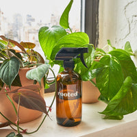 Spray Bottle Accessory Rooted