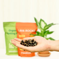 Lava Rocks Accessory Rooted