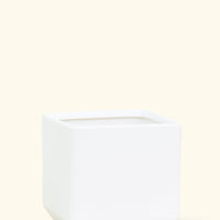 Ceramic Square Planter