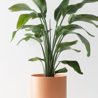 Classic Ceramic Planter Planter Peach & Pebble Peach MD