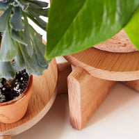 Wood Pedestal Set Planter Areaware