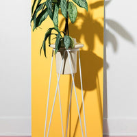 Coated Steel Standing Geometric Planter Planter NewMade LA