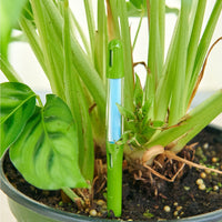 Moisture Meter, Small