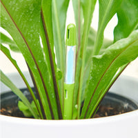 Moisture Meter, Medium