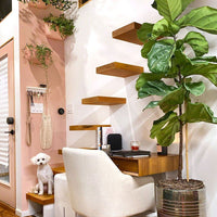 Eco Wall Planter Planter WallyGro