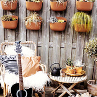 Eco Wall Planter Planter WallyGro