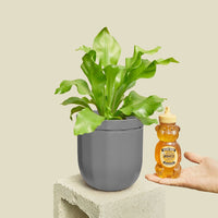 Loop Hanging Planter Planter WallyGro Gravel