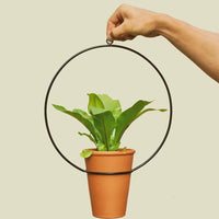 Coated Steel Circle Hanging Planter Planter NewMade LA Black