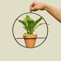 Coated Steel Circle Wall Planter Planter NewMade LA Black