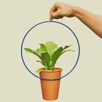 Coated Steel Circle Hanging Planter Planter NewMade LA Blue