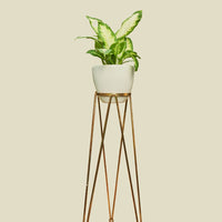 Coated Steel Standing Geometric Planter Planter NewMade LA