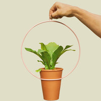 Coated Steel Circle Hanging Planter Planter NewMade LA Pink