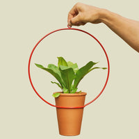 Coated Steel Circle Hanging Planter Planter NewMade LA Red