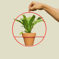 Coated Steel Circle Wall Planter Planter NewMade LA Red