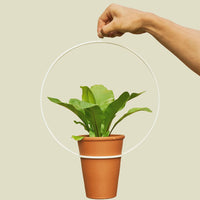 Coated Steel Circle Hanging Planter Planter NewMade LA White