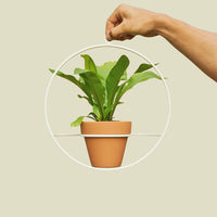 Coated Steel Circle Wall Planter Planter NewMade LA White