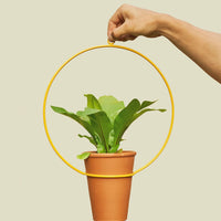 Coated Steel Circle Hanging Planter Planter NewMade LA Yellow