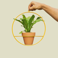 Coated Steel Circle Wall Planter Planter NewMade LA Yellow