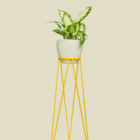 Coated Steel Standing Geometric Planter Planter NewMade LA Yellow