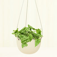 Rounded Hanging Planter 201 Planter KINTO Beige SM 