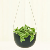 Rounded Hanging Planter 201 Planter KINTO Black SM 