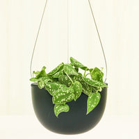 Rounded Hanging Planter 201 Planter KINTO Black MD 