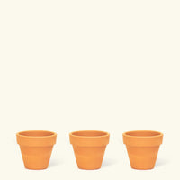 Baby Cactus Box + Planter Set