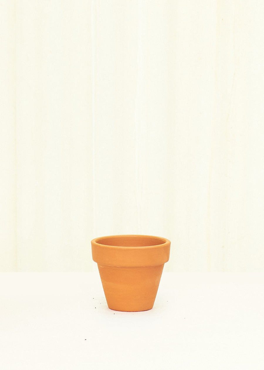 Mini Standard Terracotta Planter Set Planter Deroma 