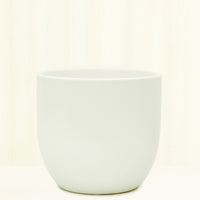 Ceramic Egg-Shaped Planter Planter Peach & Pebble 